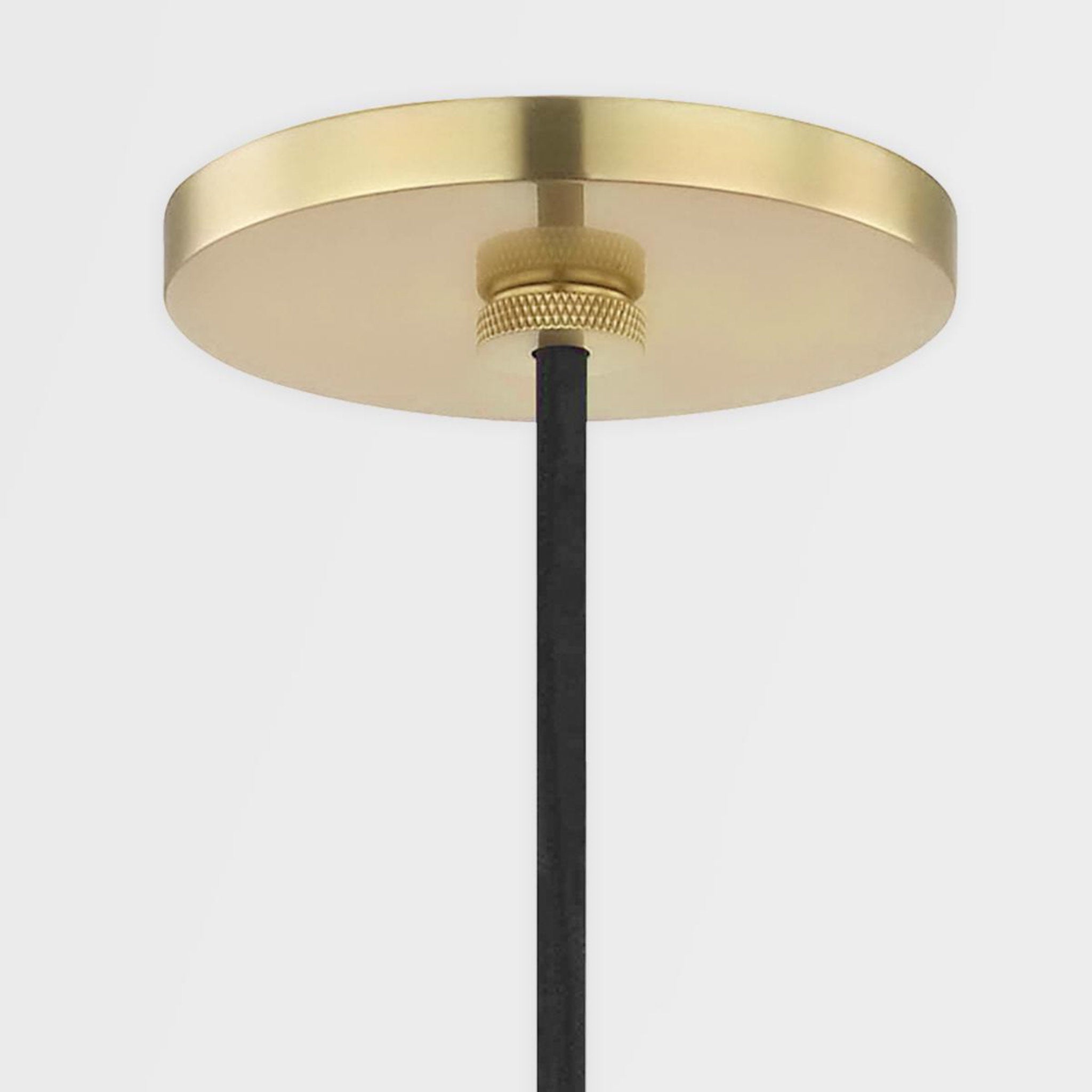 Neko 1-Light Pendant in Polished Nickel